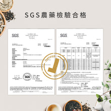 將圖片載入圖庫檢視器 【F&B下單區】嫩芽龍井綠茶-金五春職人茶/三角立體茶包