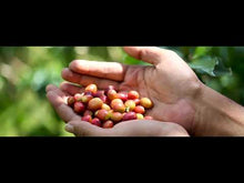 將影片載入圖庫檢視器並播放,鑽石加壓摩卡壺 4杯份 + BIALETTI 義式深焙米蘭(哥倫比亞7號)咖啡豆500g