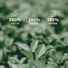 將圖片載入圖庫檢視器 【買就送】金五春立體茶包三入量販組贈送耐熱玻璃壺