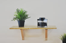 將圖片載入圖庫檢視器 ANKOMN抽真空保鮮罐-0.6L(600ml)