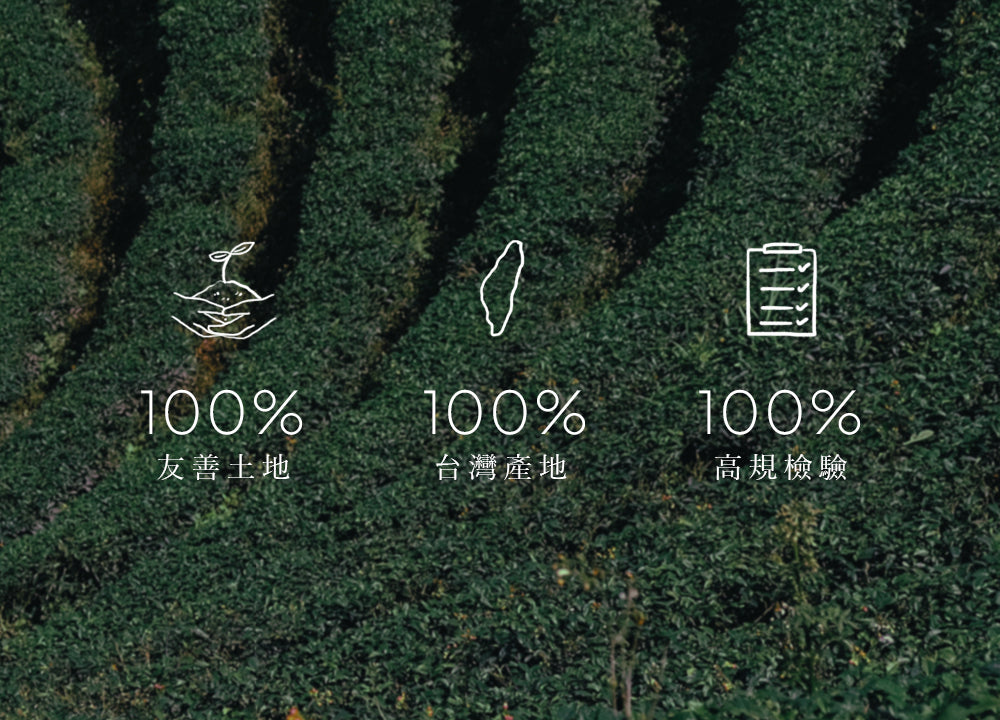 【F&B下單區】夏暮蜜桃紅茶 三角立體茶包15入盒裝