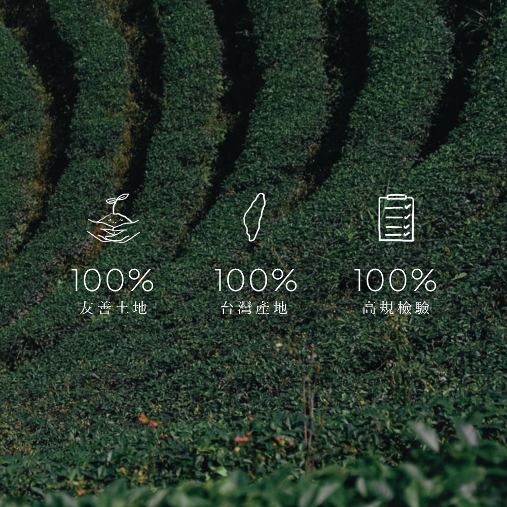 【F&B下單區】台茶十二號金萱 三角立體茶包15入盒裝