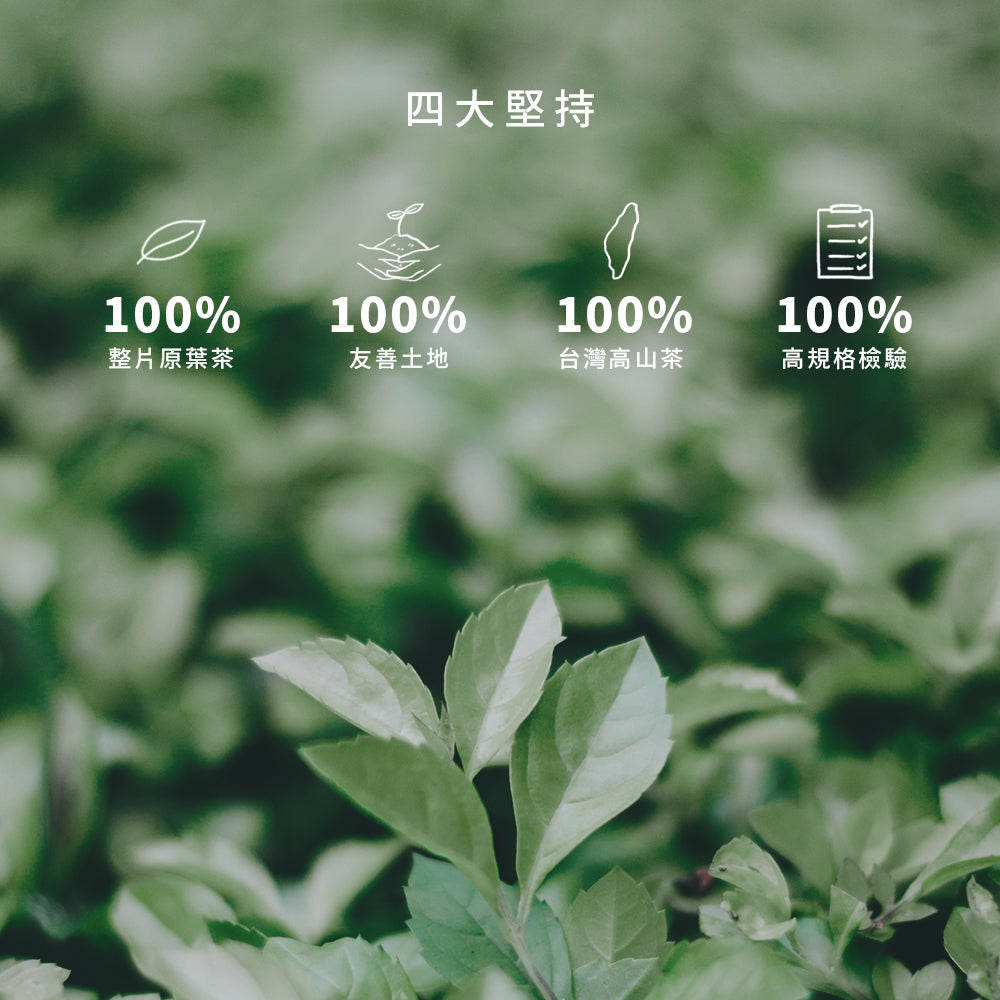 【台灣茶】松柏嶺四季春-金五春職人茶/三角立體茶包