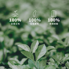 將圖片載入圖庫檢視器 【台灣原葉茶】金五春職人茶/三角立體茶包 10包/入 任選三入399元

