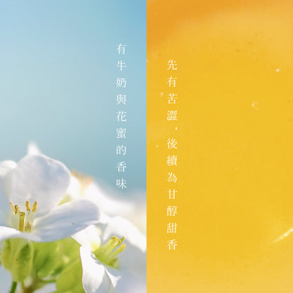 【F&B下單區】台茶十二號金萱 三角立體茶包15入盒裝