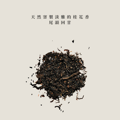 盒裝桂花烏龍三角立體茶包15入