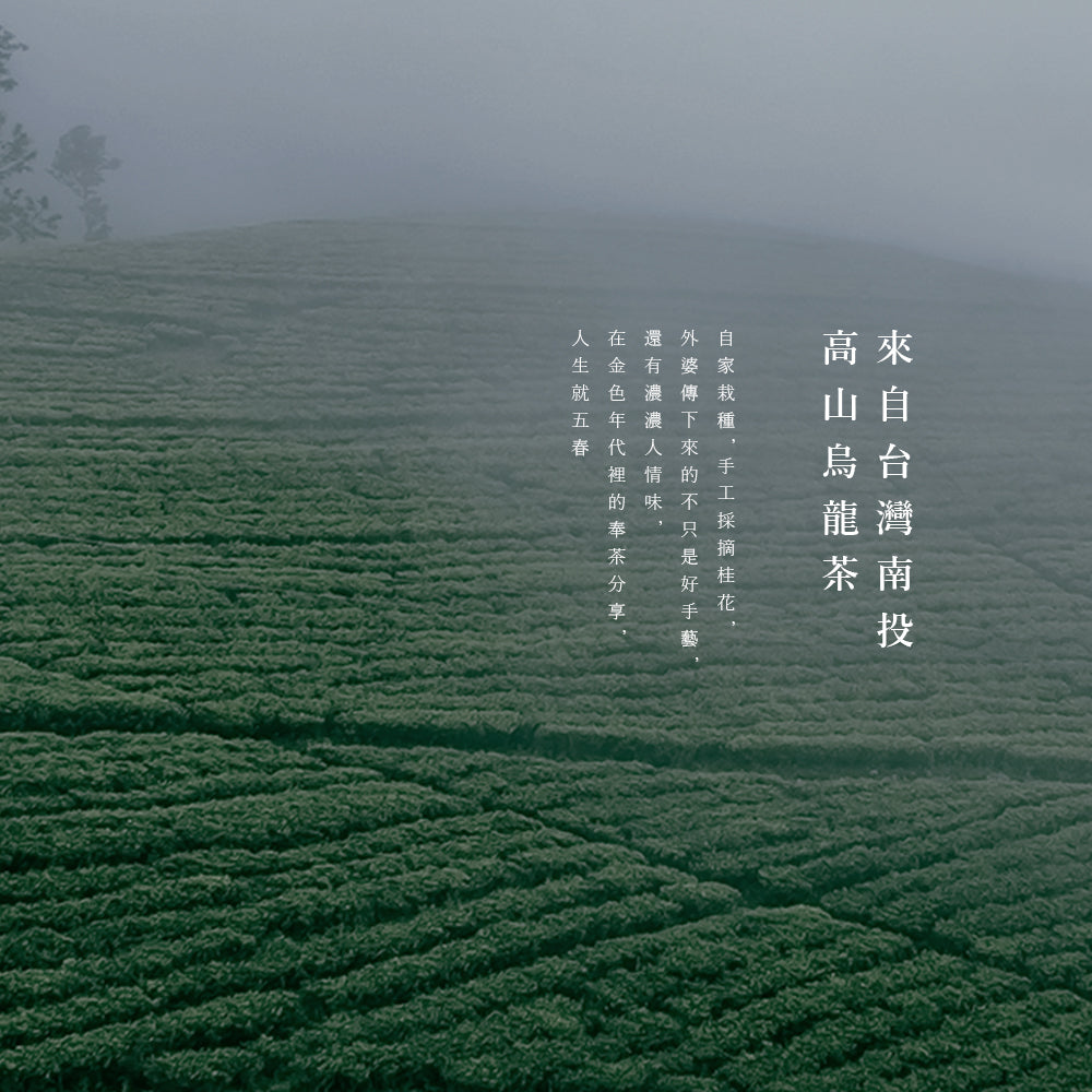 盒裝桂花烏龍三角立體茶包15入