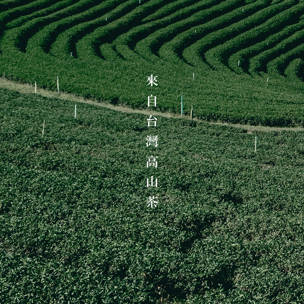 【F&B下單區】台茶十二號金萱 三角立體茶包15入盒裝