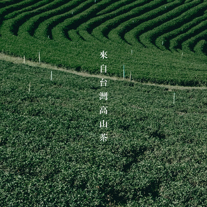 【F&B下單區】台茶十二號金萱 三角立體茶包15入盒裝