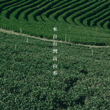 將圖片載入圖庫檢視器 【台灣原葉茶】金五春職人茶/三角立體茶包 10包/入 任選三入399元
